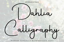 Dahlia Calligraphy