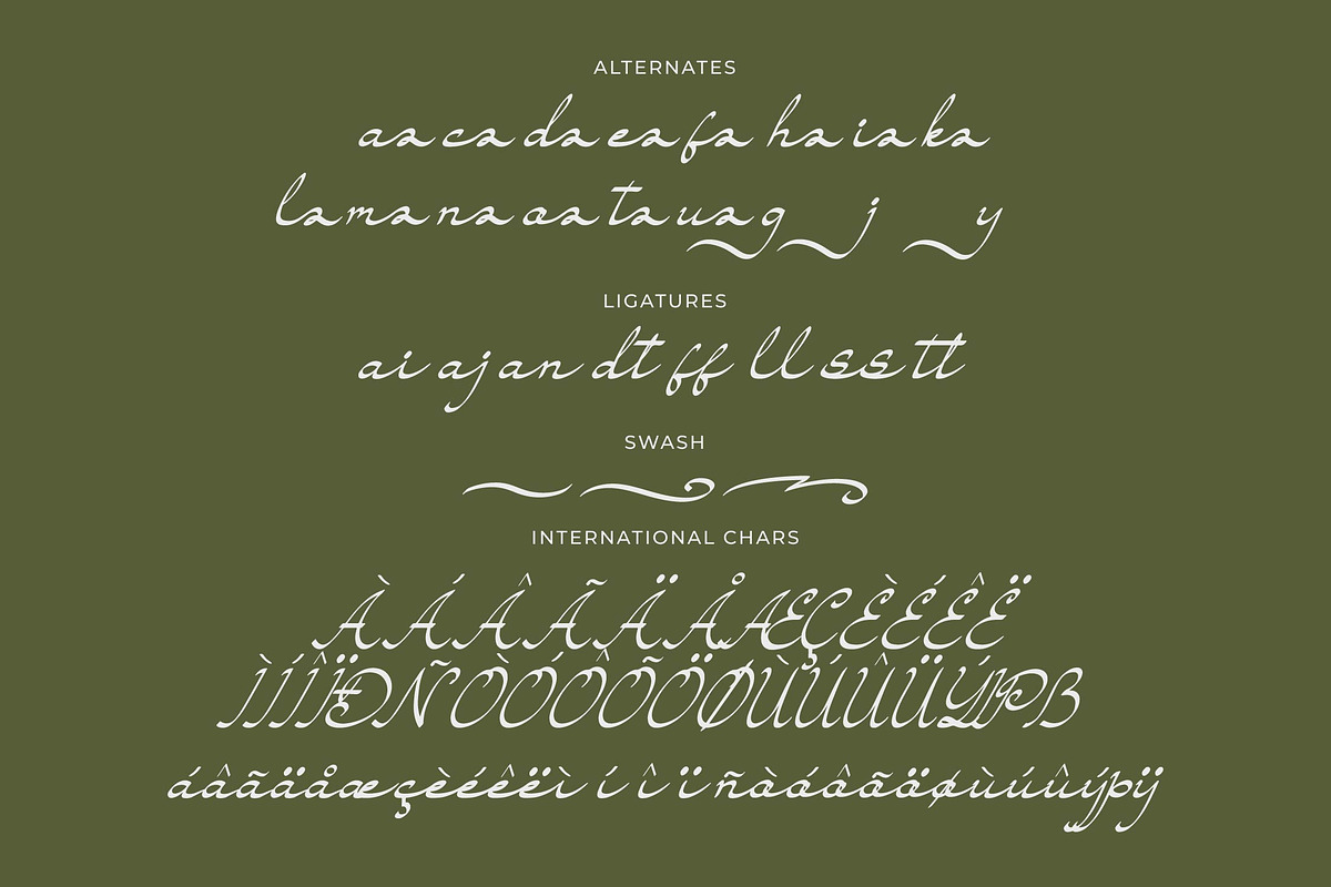 Sandoria Dawnvale Script Font, a Script Font by Denustudios (Photo 12 of 13)