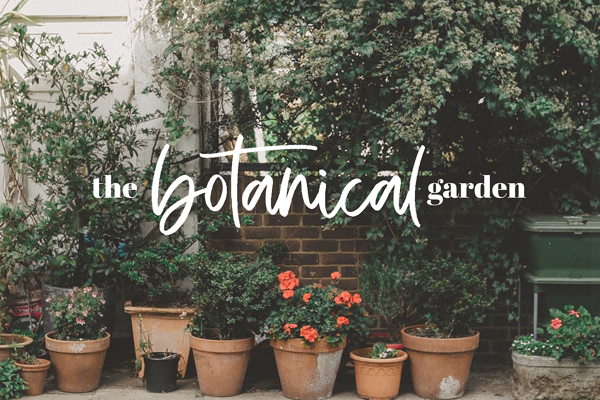 The Trendy Font BUNDLE, a Script Font by KA Designs (Photo 78 of 86)