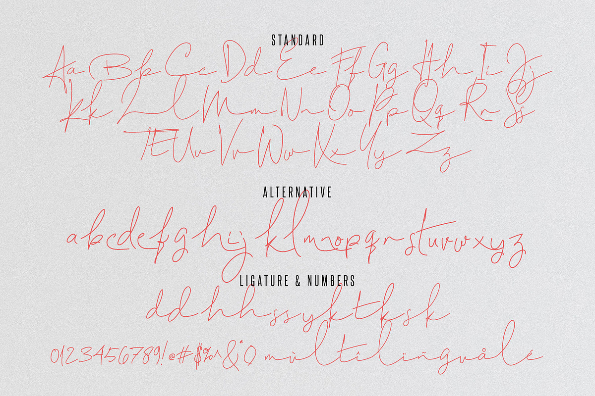 Challista Signature - 30%OFF preview 8