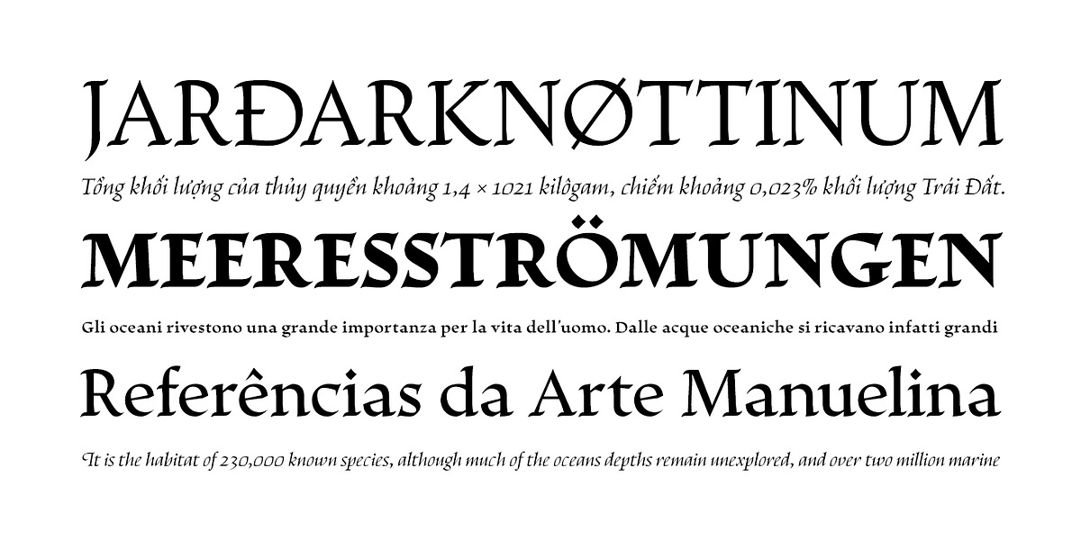 Escritura, a Serif Font by Vanarchiv (Photo 4 of 4)