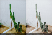 ORGANIC CERAMIC LIGHTROOM PRESETS, a Preset Add-On by Nes Design Co (Thumbnail 5 of 10)