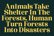 Metguy Behope Bold Serif Display, a Serif Font by timelesstype.co (Thumbnail 3 of 20)