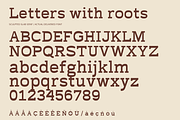 Terra Fable Sculpted Slab Serif, a Slab Serif Font by Colorsfav (Thumbnail 11 of 11)
