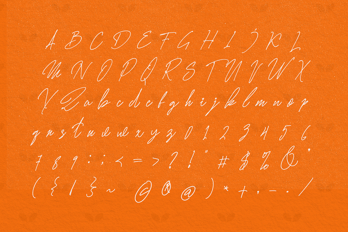 Honera || modern font duo, a Serif Font by ToniStudio (Photo 4 of 12)