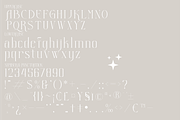 Histeria Modern Serif Font, a Serif Font by Storytype Studio (Thumbnail 7 of 9)