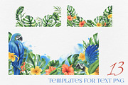 Parrots & tropical leaves watercolor, an Animal Illustration by NATASHA CHU (Thumbnail 10 of 21)