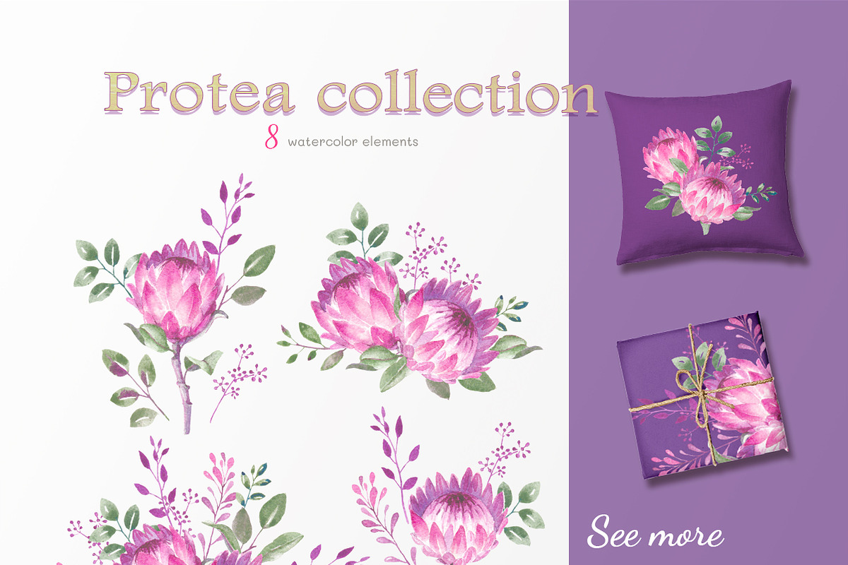 Protea collection, an Illustration by oKOLOstyle (Photo 2 of 6)