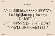 Ansela – Elegant Sans, a Sans Serif Font by Craft Supply Co. (Thumbnail 8 of 8)