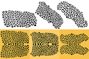 LEOPARD, an Animal Illustration by Tanya Akhmett (Thumbnail 9 of 9)