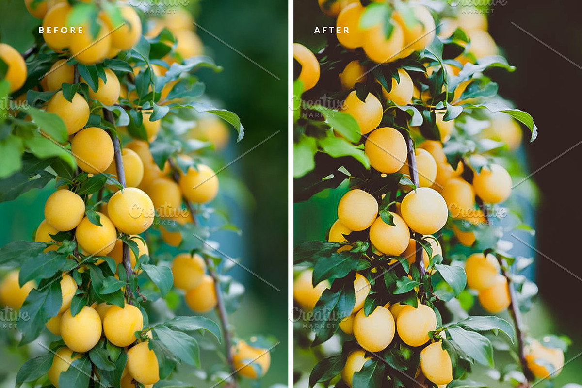 Food LR Presets Vol.3, an Action Add-On by OpulentStu (Photo 6 of 8)