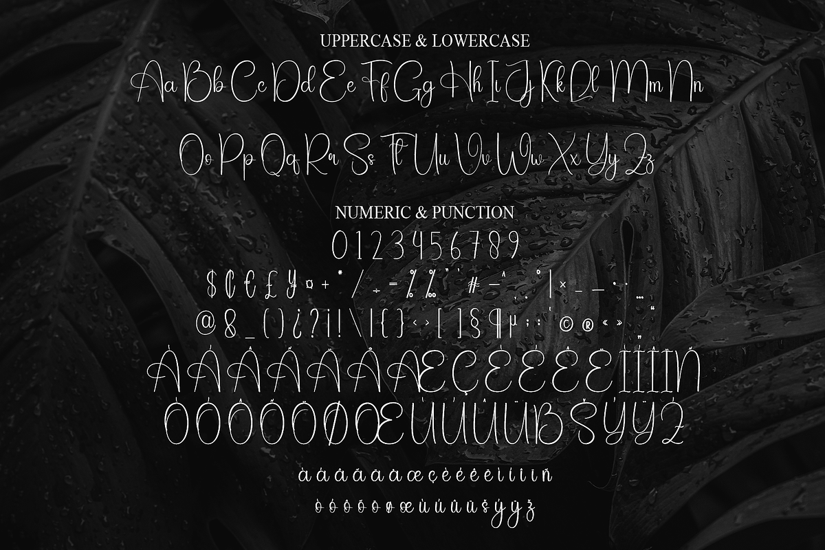 Black | Script Font, a Handwritten Font by Scratchones (Photo 7 of 9)