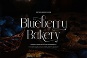 Trailogen | Display Serif Font, a Serif Font by gracetype_studio (Thumbnail 6 of 12)