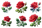 Watercolor Rose Flower Clipart, an Illustration by Dream Creation (Thumbnail 3 of 6)