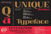 Omenica - Serif font Family, a Serif Font by Artistic & Unique (Thumbnail 11 of 12)