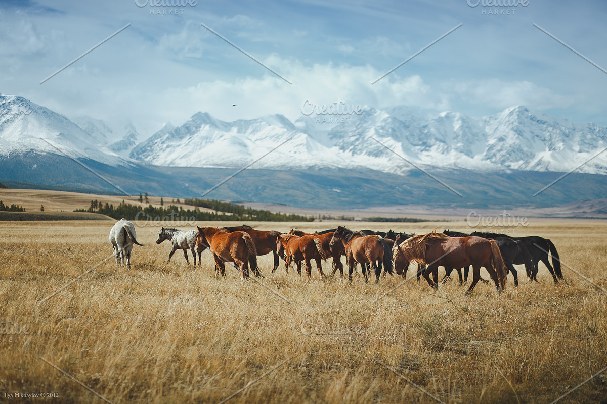 Lightroom landscapes, travel presets, a Preset Add-On by Fotomarket (Photo 3 of 5)
