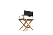 Director Chair, a Furniture 3D Model by Tedi Permana (Thumbnail 3 of 6)