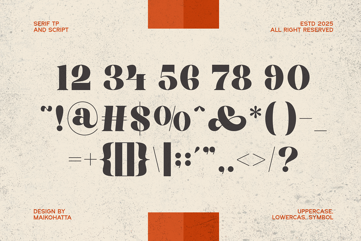 Qeica - Font Duo Typeface, a Serif Font by MaikoHatta (Photo 6 of 10)