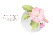 Watercolor Cherry Blossom Clipart, an Object Illustration by ArtGiftsStudio (Thumbnail 5 of 5)