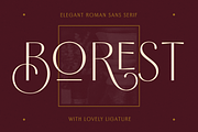 Borest - Elegant Roman Sans Serif, a Sans Serif Font by Flavortype (Thumbnail 1 of 21)