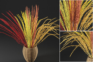 Dry Decorative Plant