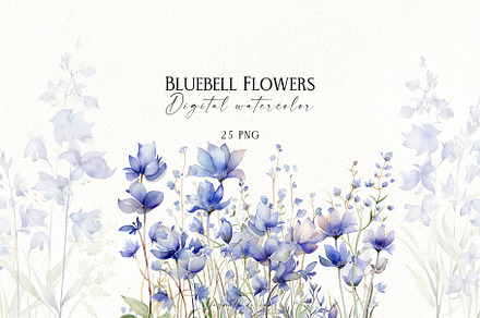 Bluebell Flowers, a Decorative Illustration by Vasmila