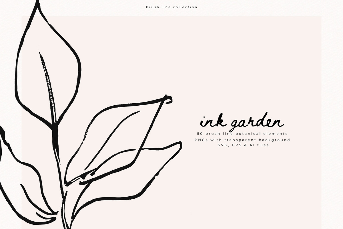 Ink Garden - 50 Brush Line Elements, a Decorative Illustration by PeDe Designs (Photo 4 of 7)