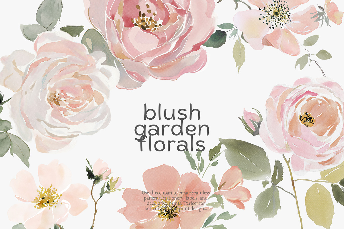 Blush floral clipart set, an Illustration by Patishop Art (Photo 3 of 8)