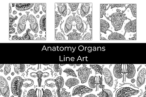 Anatomy Organs Line Art, a Texture Graphic by InkyQueenArt