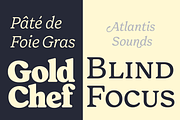 Forrest Friendly Serif Family, a Serif Font by Fenotype (Thumbnail 8 of 12)