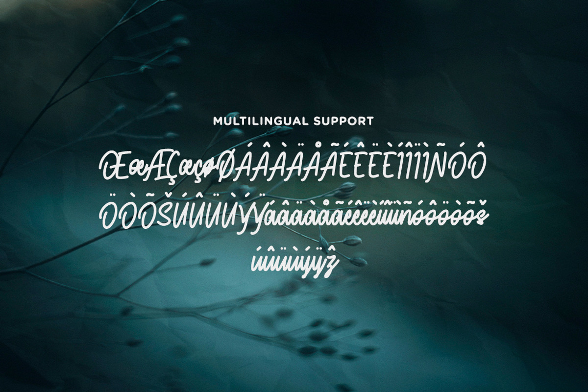 The End Story - Handwritten Font, a Script Font by Typefactoryco (Photo 4 of 10)