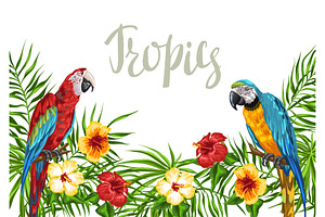 Tropical Background With Parrots.