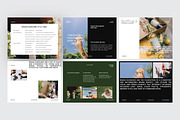 SOCA - Brand Guidelines GSL, a Presentation Template by Antelope Studio (Thumbnail 5 of 10)