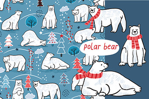 Polar bear