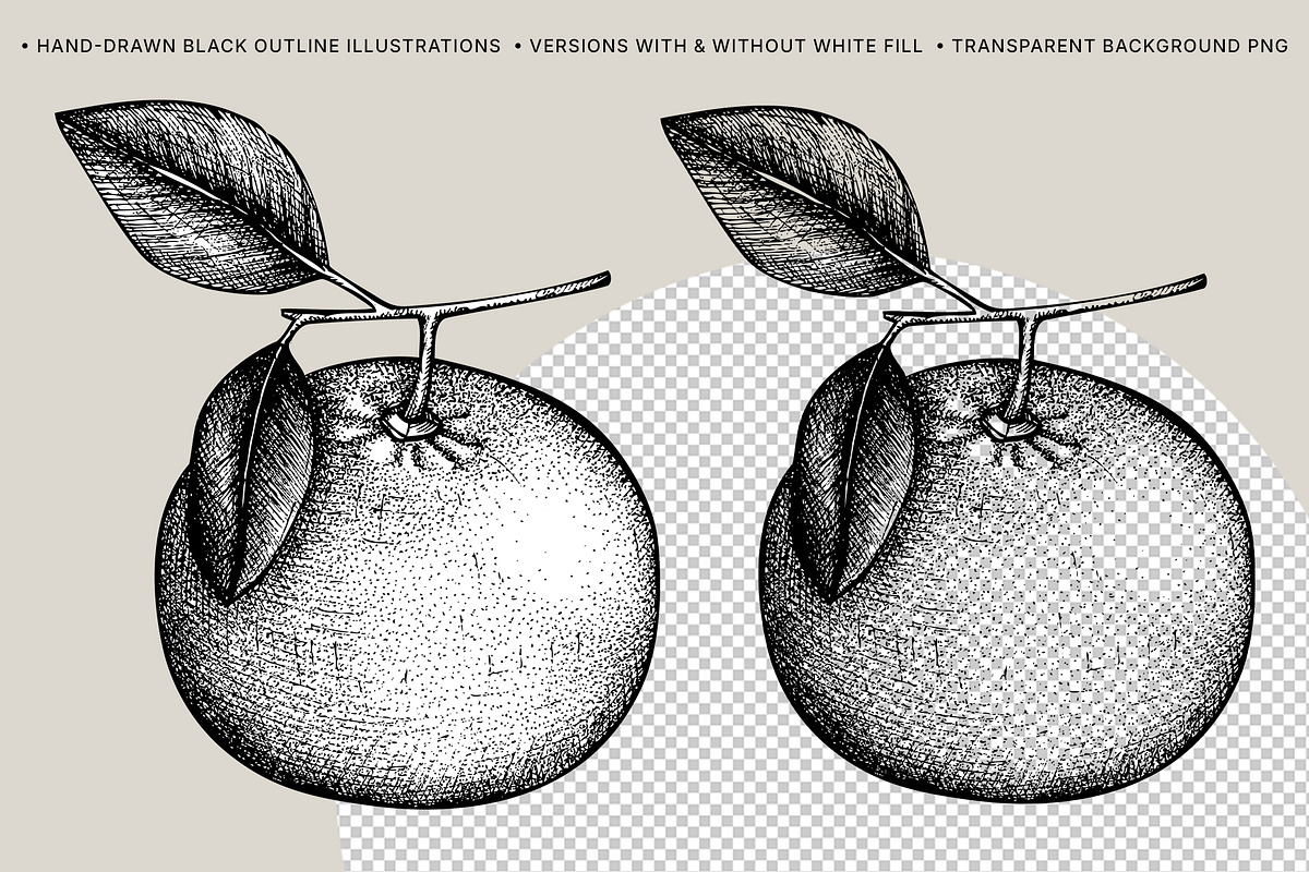 BUNDLE - Fruit & Berries Collection, a Food Illustration by Yevheniia (Photo 8 of 9)