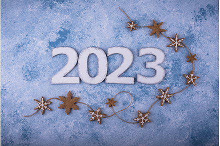2023 New Year and Christmas, a Holiday Photo by Yulia Furman