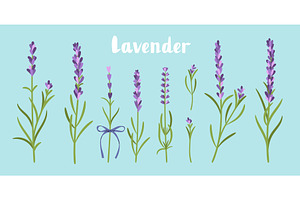Lavender flowers set isolated on, an Object Illustration by Stock-Smart-Start