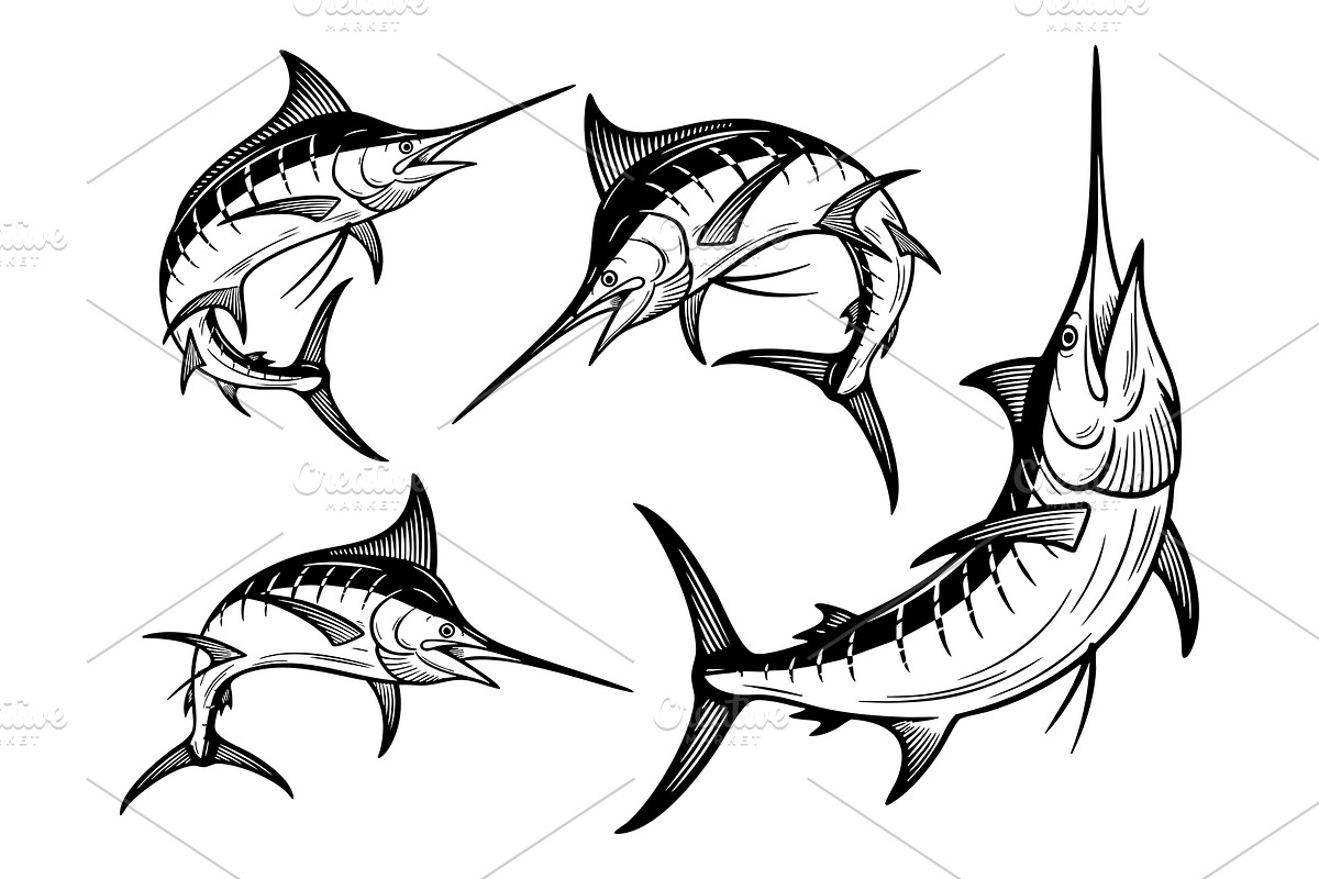 Set of four marlin fish in dynamic, an Animal Illustration by yod67