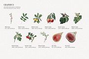 Botanical Floral and Fruits Pattern, a Pattern Graphic by likorbut (Thumbnail 7 of 9)