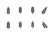 Wild Grass & Grain Vector Set, an Illustration by BIPLOB EXPERT (Thumbnail 8 of 9)