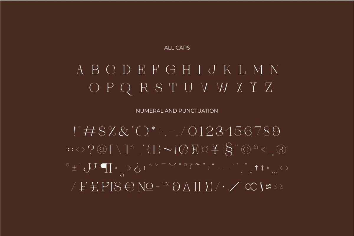 Brisca Miera - Chic Ligature Font, a Serif Font by suhadidesign (Photo 11 of 13)