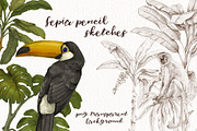 Tropical jungle animals, plants set, an Animal Illustration by Alamella (Thumbnail 3 of 8)