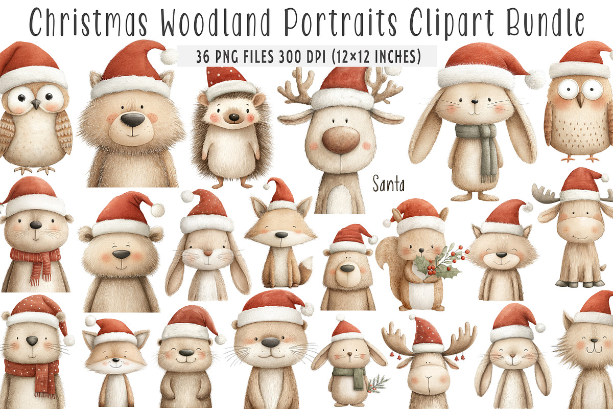 Christmas Woodland Portraits Clipart, an Illustration by SinaCreation (Photo 1 of 7)