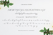 Beatisia Script, a Script Font by sizimon (Thumbnail 6 of 6)