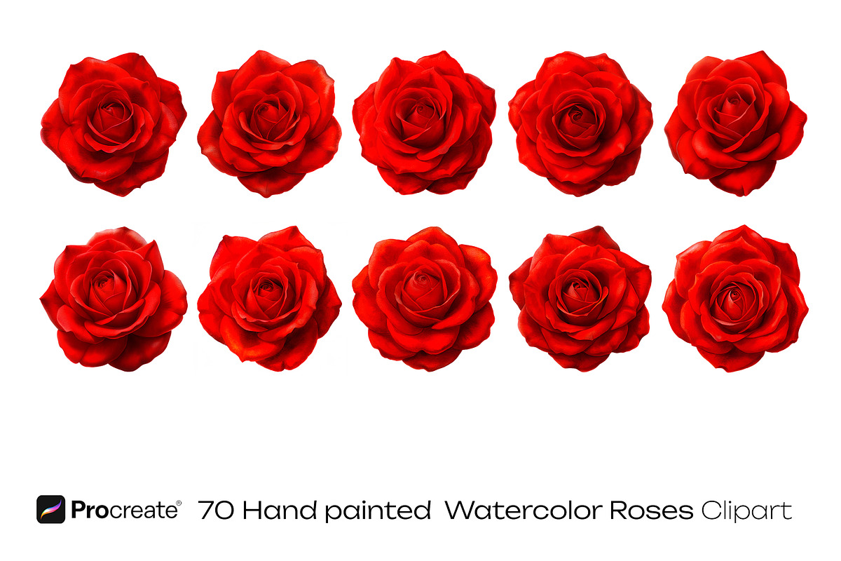 Scarlet Red Roses Wedding watercolor, a Decorative Illustration by crafty (Photo 8 of 11)