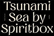 MAJOR ARCANA - Display Variable Type, a Serif Font by Artflorara (Thumbnail 9 of 21)
