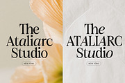 Figo Shiftz - Editorial Serif & Sans, a Serif Font by Propertype (Thumbnail 4 of 26)