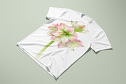 Botanical art - amarillis flowers, an Object Graphic by ViktoriArt (Thumbnail 4 of 14)