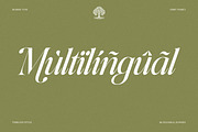 The Andalucia Serif, a Serif Font by Pista Mova (Thumbnail 25 of 26)