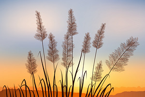 Reeds and rushes with distant rocks.